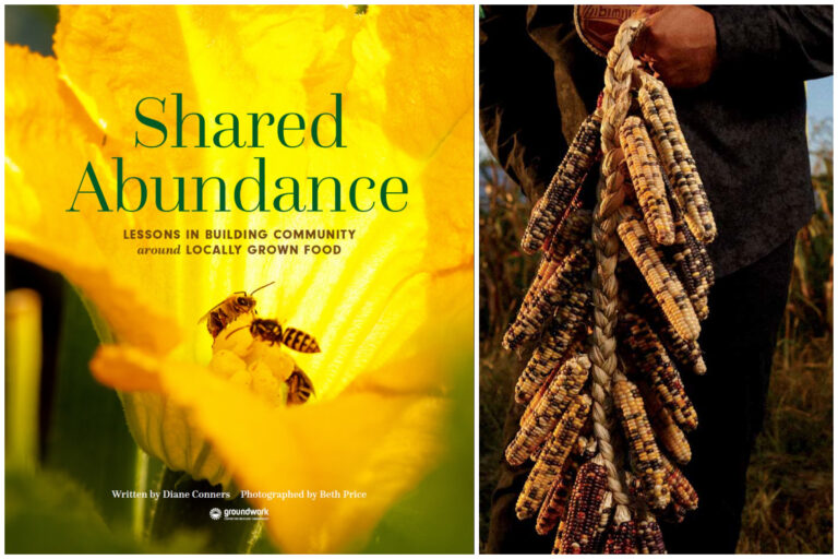 A 20-12 months Success Story_ New E book Highlights Northern Michigan’s World-Class Native Meals Economic system